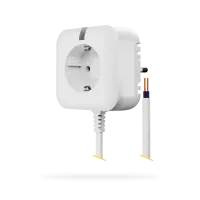 JB-163N-PLUG Wireless plug with external output (Schuko)
